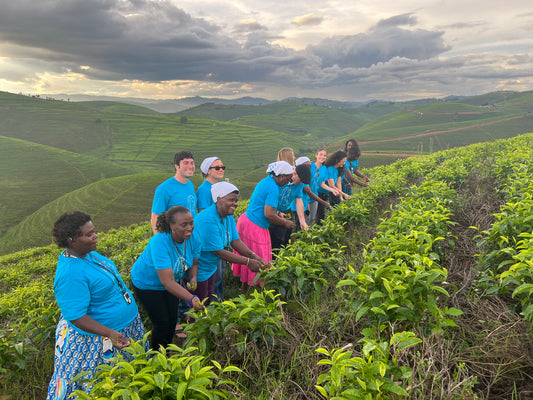 Pilgrimage to Kibeho, Rwanda November 22 - December 2, 2026
