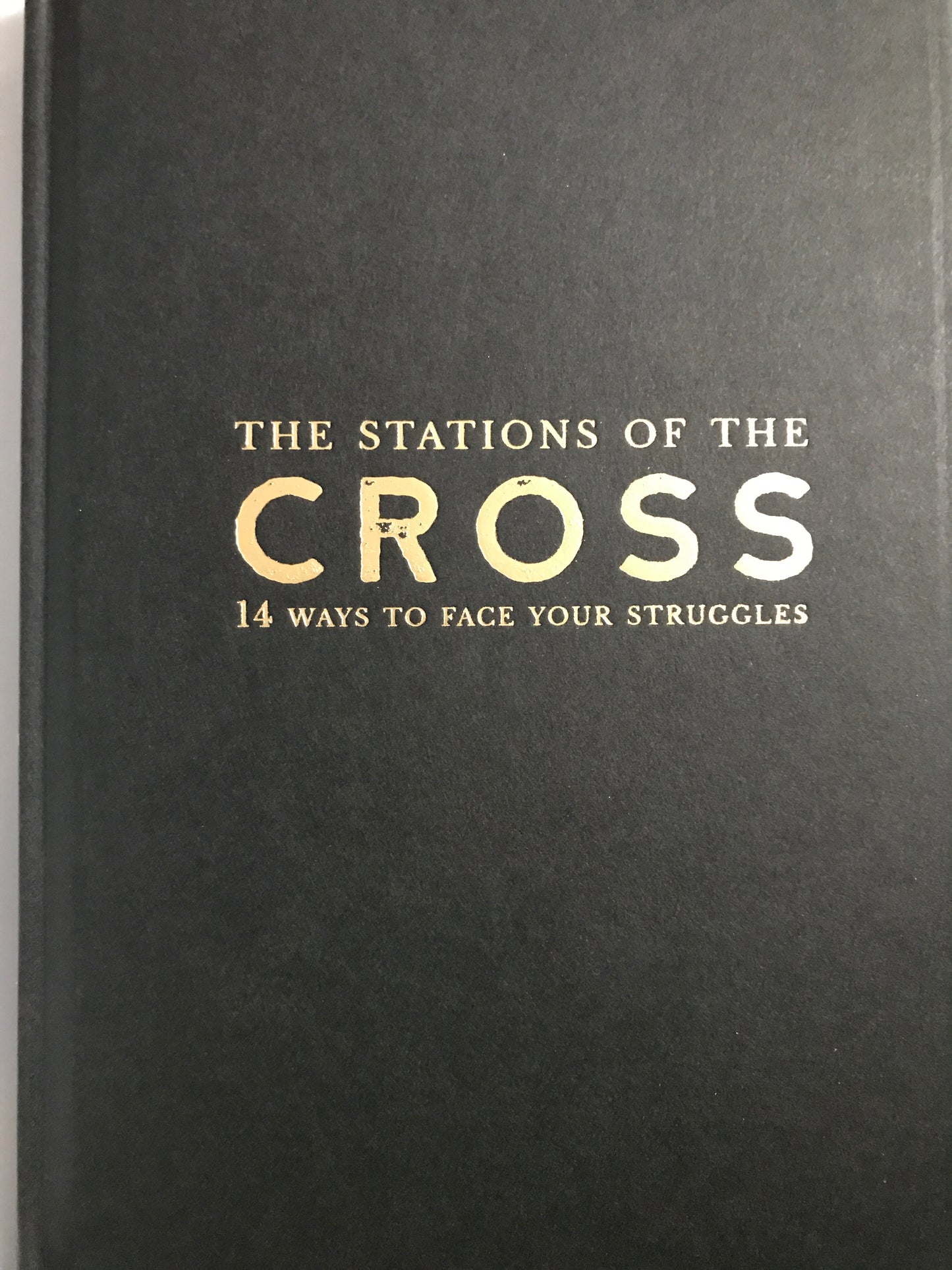Le Chemin de Croix Livre d'Immaculée